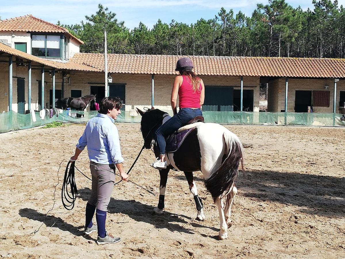 Casa De Ferias Aveiro Com Piscina อาเวโร ภายนอก รูปภาพ